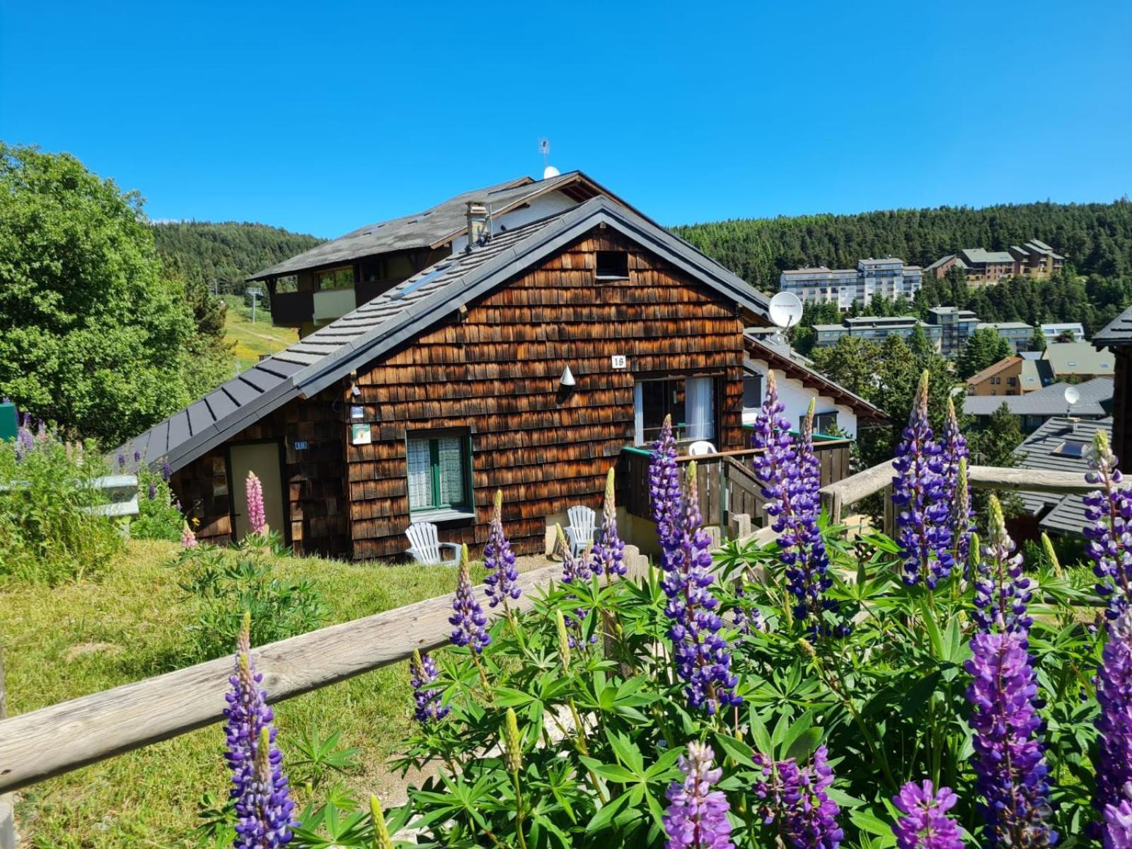 Chalet Les Lupins Bleus Au Pied Des Pistes Font-Romeu Pyrenees 2000 Bolquere Экстерьер фото